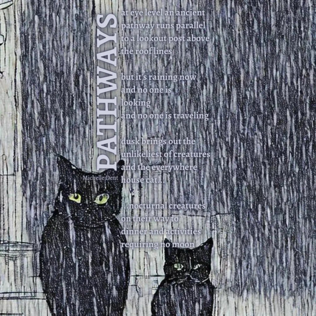 a poem by Michelle Dent called PATHWAYS is superimposed over an image of cats searching in the rain