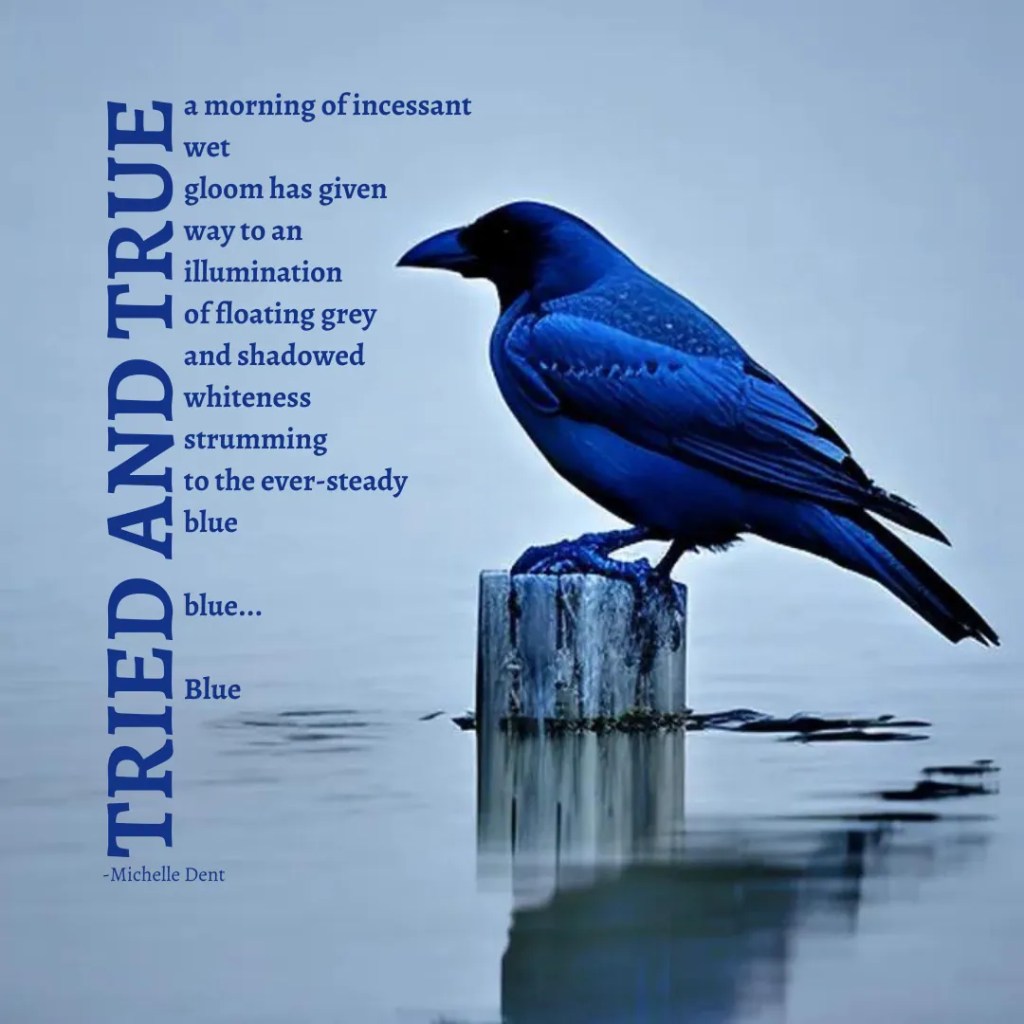 a poem by Michelle Dent called TRIED AND TRUE is superimposed over an image of a blue raven standing on a post rising above the water